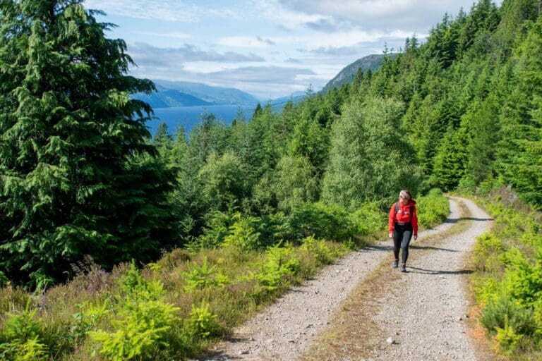 Walks on the Great Glen Way near Lochside Hostel, Loch Ness
